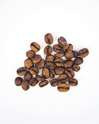 La belleza de los granos de café