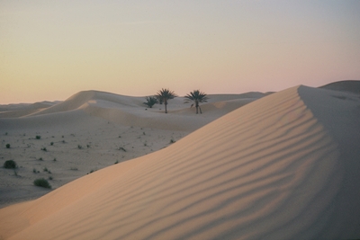 Dreamy Desert