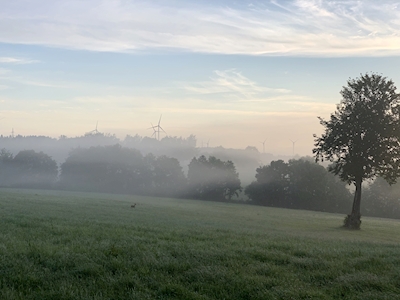 Nebbia mattutina nell'Eifel