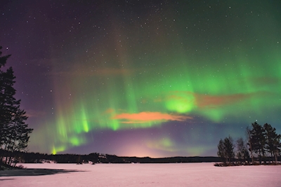 Auroras boreales sobre Gimmen