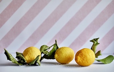 Citrons Amalfi