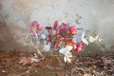 Ramo de flores contra una pared vieja
