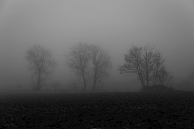Brouillard hivernal à Österlen