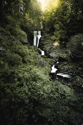Der Wasserfall im Schwarzwald 