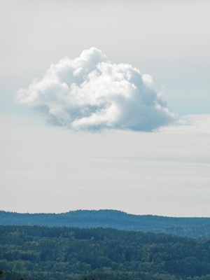 The lonely cloud