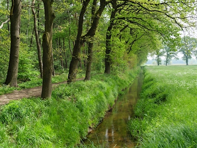 small creek in westphalia