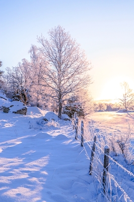 País de las maravillas invernales