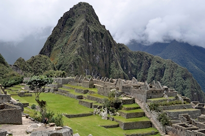 Macchu Picchu 