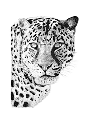 Leopard posters & prints by Heidi Anna Axelsen - Printler