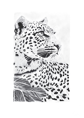 Leopard by leaves