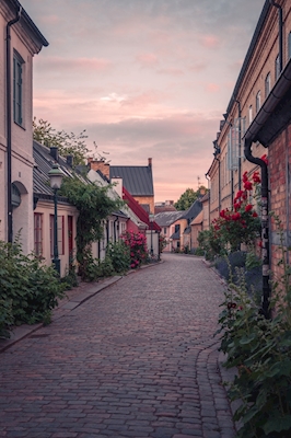 Geplaveide straat in Lund