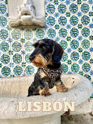 Ziel van Lissabon