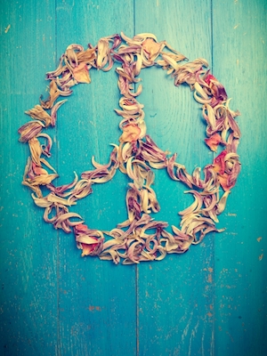 Vše, co potřebujeme, je mír