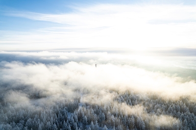 Soligt & dimmigt vinterlandska