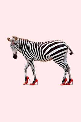 Zebra Heels