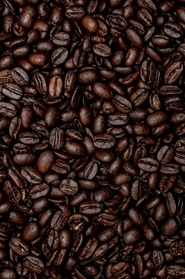 Koffie 7294