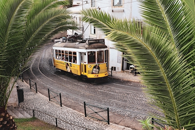 Lisboa i en ramme