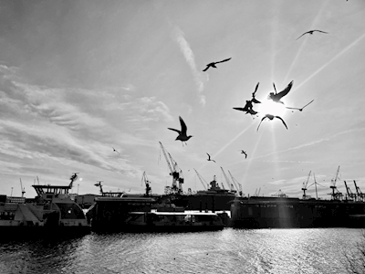 Port w Hamburgu