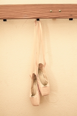 Ballet shoes before training