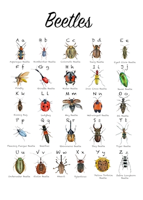 Póster del alfabeto de los escarabajos