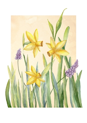 Flores da Primavera Narcisos