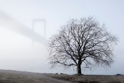 Alvsborg bridge at fog