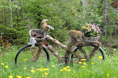 Cykel med blomster