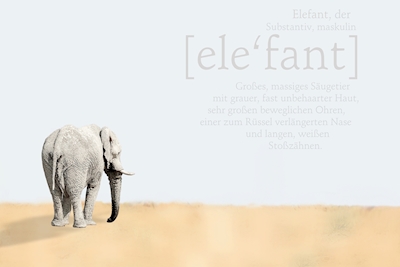 Enlig elefant