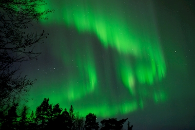 Aurora Boreal sobre a Suécia