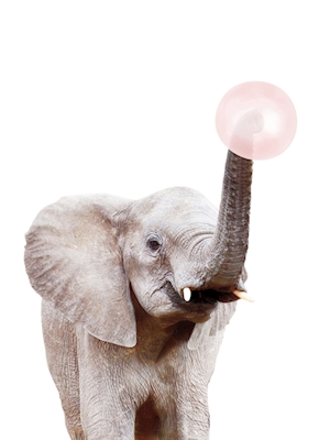 Bubble Gum Elephant