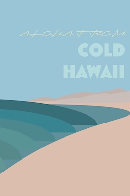 Arte de Surf Havaí Fria
