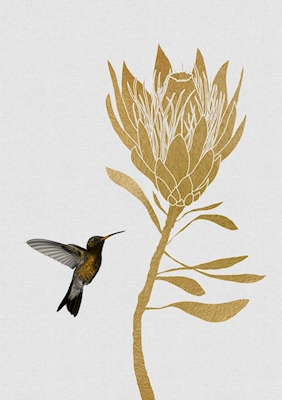 Kolibri & Blomst I