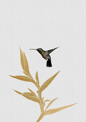 Kolibřík a květina II