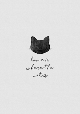 El hogar es donde está el gato