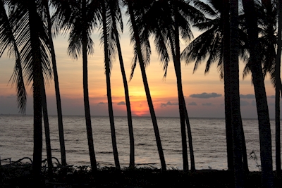Wschód słońca w Bali