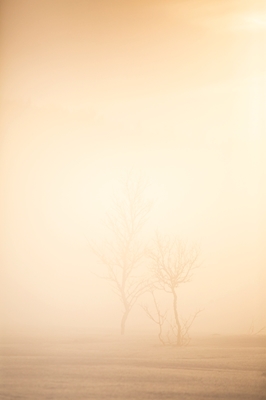 Nebel im Tal