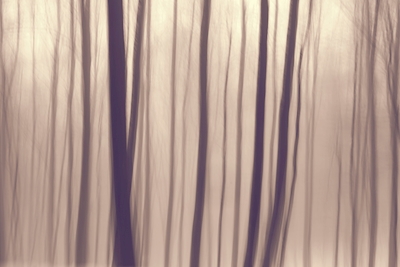 Béžový impresionistický les 