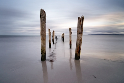 Wooden poles on the beach