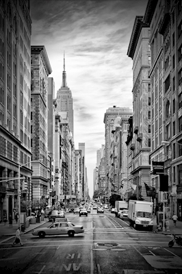 NYC 5th Avenue 