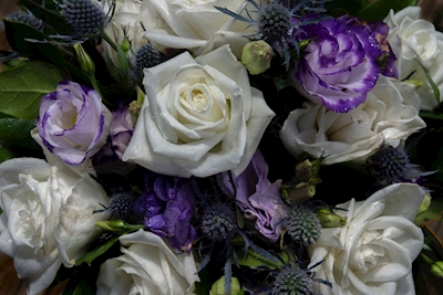 Bouquet Blu e Bianco