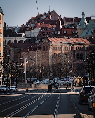 Lineu e Gotemburgo