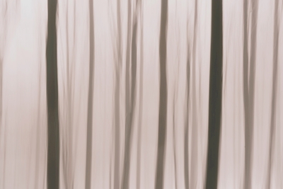 Abstract Impressionist Forest