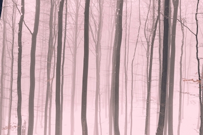 Abstraktní impresionistický les