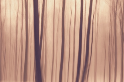 Abstrakt impressionistisk skog