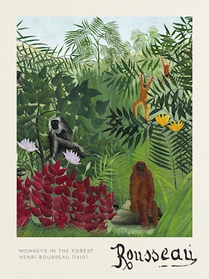 Małpy - H Rousseau