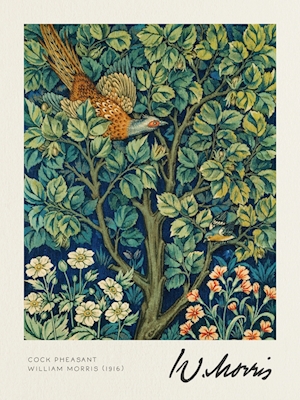 Cock Pheasant - William Morris