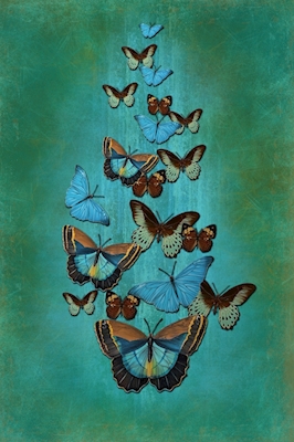 Schmetterlinge an der Wand