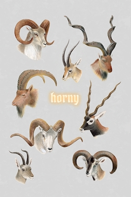 Horny 