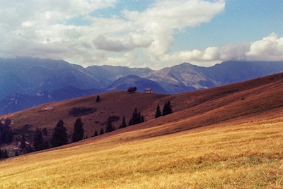 Panorama af de italienske alper