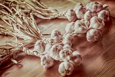 braids of garlic